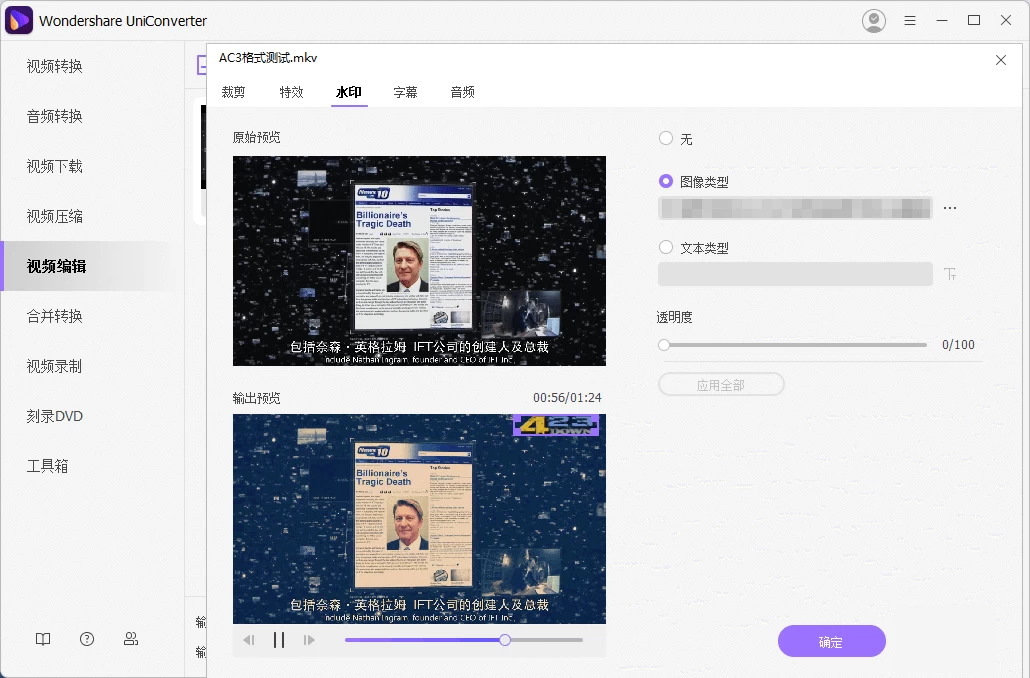 UniConverter 万兴优转 v17.3.5.562 中文破解便携版-颜夕资源网-第13张图片